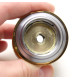 Genuine Spool Daiwa Certate 13 2508PE